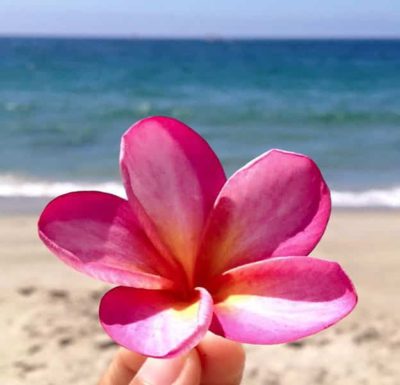 今日のハワイ語 基礎文法編 | Aloha アロハ 愛、挨拶する、お元気で、情、慈しむ